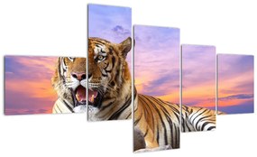 Kép - fekvő, tigris (150x85cm)