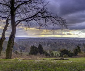 Poszter 60x50cm Reigate Hill 2, Assaf Frank