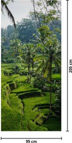 Fotótapéta ajtóra - Tegalalang rizsteraszok (95x205cm)