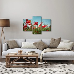 Kép - Pipacsos mező (90x60 cm)