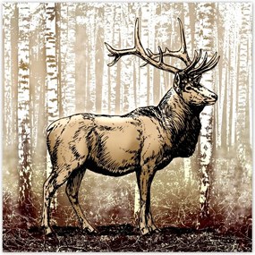 Poszterek 30x30 Szarvas a nyírfaerdőben