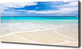 Vászonkép Trópusi tengerpart 100x70 cm