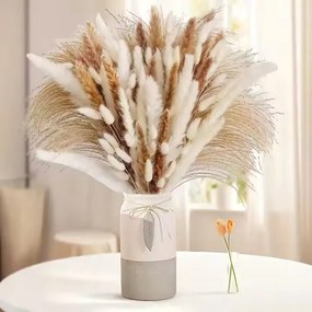 Pampas Fű Szárított Díszes Váza Csokor 60 db