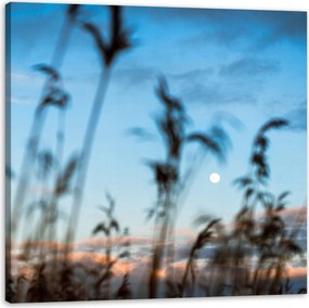 Vászonkép Természet Mező Rét Napfelkelte 90x90