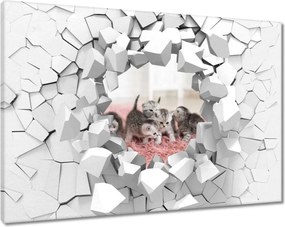 Vászonkép 90x60 Cica Cicák