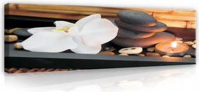 Vászonkép Orchidea És Kövek Nappali 145x45