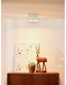 Lucide 09101/02/31 - Spotlámpa BODI 2xGU10/50W/230V