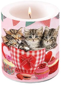 Cicás átvilágítós viasz gyertya Cats in Tea Cups közepes