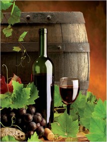 Fotótapéta konyha szőlő fotótapéta 184 x 254