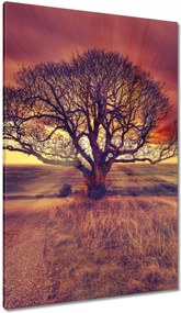 Festmények 80x120 Fa