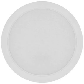 LED Mennyezeti lámpa LED/24W/230V á. 22 cm fehér