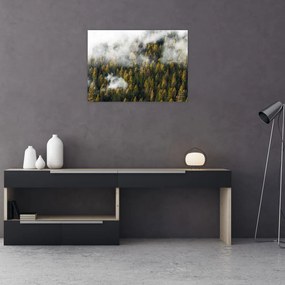 Egy erdő képe a felhők között (üvegen) (70x50 cm)