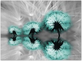 Poszterek 135x100 Türkiz pitypang virág