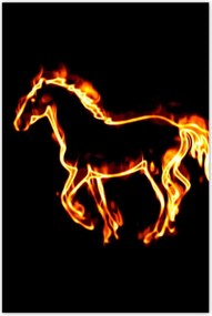 Poszter 60x90 Tűz paripa
