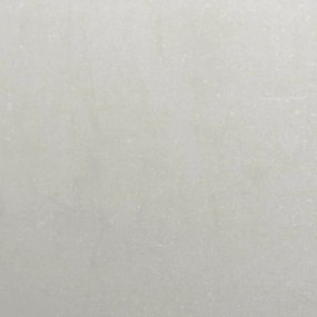 vidaXL rozsdamentes acél növénytartó 280x80x40 cm