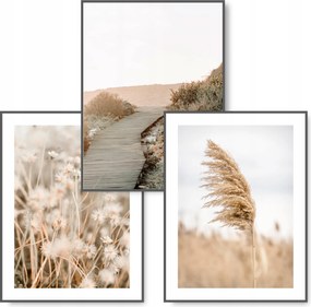 Boho 3 db-os kép szett 30x40 Természet Fű poszter #13