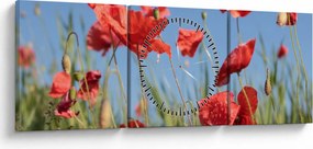 Kép - Pipacsok (órával) (90x30 cm)