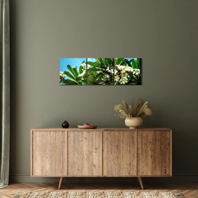 Kép - Plumeria (órával) (90x30 cm)