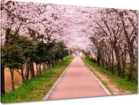 Vászonkép 90x60 Virágok