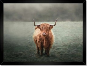 Poszterek keretben 40x30 Mint a szarvak Hegyi rét