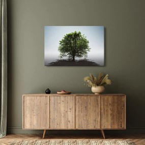 Kép - Magányos fa (90x60 cm)