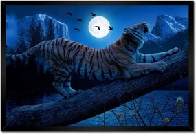 Poszterek keretben 60x40 Tigris az ágon éjszaka