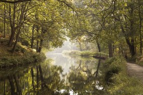 Poszter 91,5x61cm Basingstoke csatorna 2, Assaf Frank