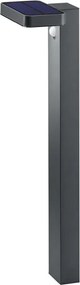 TRIO R42261142 ESQUEL Modern Kültéri Állólámpa Antracit LED IP44