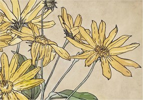 Fotótapéta Flizelin Dekoratív tapéta Virágok akvarell 208x146 Ragasztó