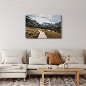 Kép - Sétány a hegységben Mt. Cook (90x60 cm)