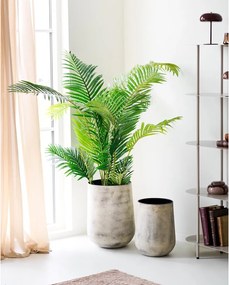 Hou kaspó, 2-es szett