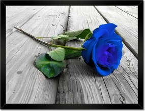 Poszterek keretben 40x30 Kék rózsa a deszkákon
