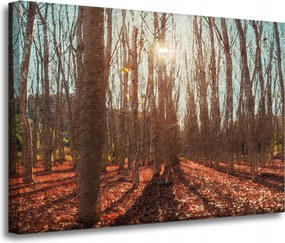 Vászonkép Erdő Ősz Levelek Színes Természet 70x50 cm