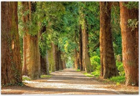 Poszterek 155x105 Tájkép