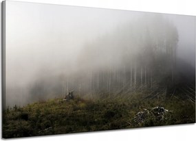 Vászonkép Természet Köd Megsemmisült erdő 120x70