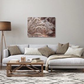 A növények képe (üvegen) (70x50 cm)