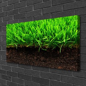 Canvas kép Grass Nature Plant 100x50 cm