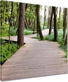 Vászonkép 50x50 Park Wolsztynban