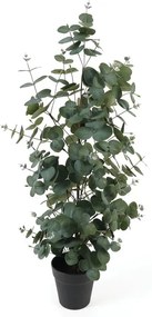 Mű eukaliptusz – PT LIVING