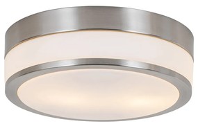Modern kültéri mennyezeti lámpa acél 28 cm IP44 - Flavi