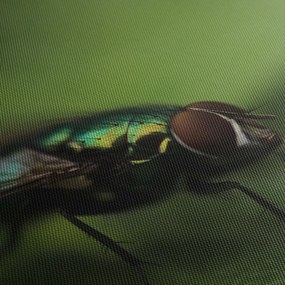 Kép - Légy (120x50 cm)
