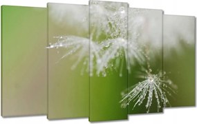 Vászonkép 100x60 Pitypang Virág Virágok