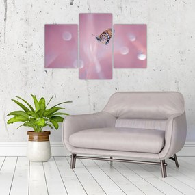 Kép - Pillangó (90x60 cm)