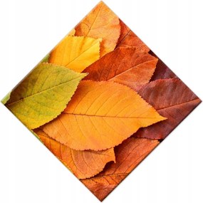 Vászonkép 28x28 Őszi színes levelek Levelek az ősz színeiben