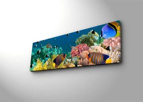 Vászonkép, 30×90 cm – 3090DACT-13