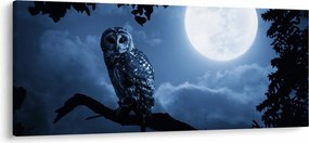 Kép - Éjszakai bagoly (120x50 cm)