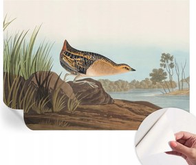 Dekoratív Öntapadós Tapéta Divatos Minták Természetes jelenet 312x219 cm