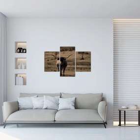 Kép - Texasi tehén (90x60 cm)