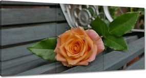Vászonkép 180x90 Rózsa Virág Virágok Rózsa