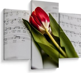 Egy vörös tulipán képe (90x60 cm)